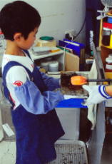 �q���̑̌� ������